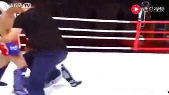 八卦掌 ko,探寻古老武术的奥秘与魅力